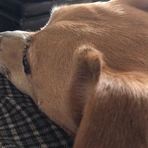 Meet your Posher, Marilyn